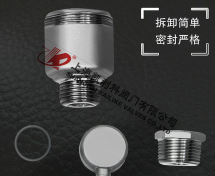 AVAX不銹鋼自動(dòng)排氣閥可拆卸設(shè)計(jì)細(xì)節(jié)說(shuō)明