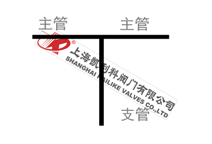 對(duì)焊連接直流式T型過濾器管路支管圖